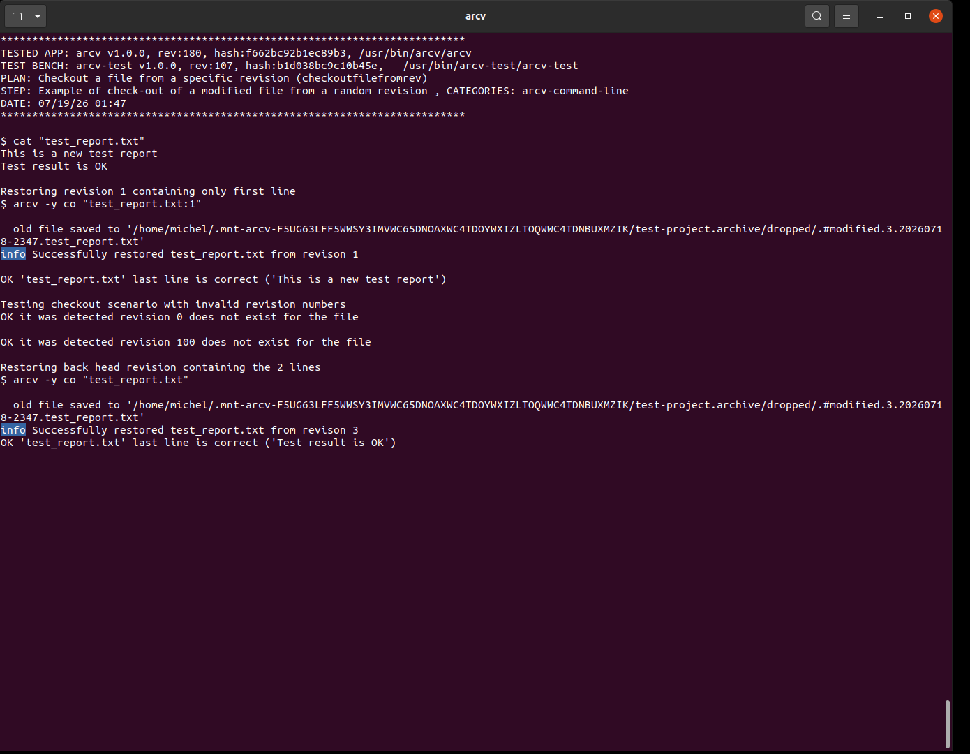 arcv sshot checkoutfilefromrev 1